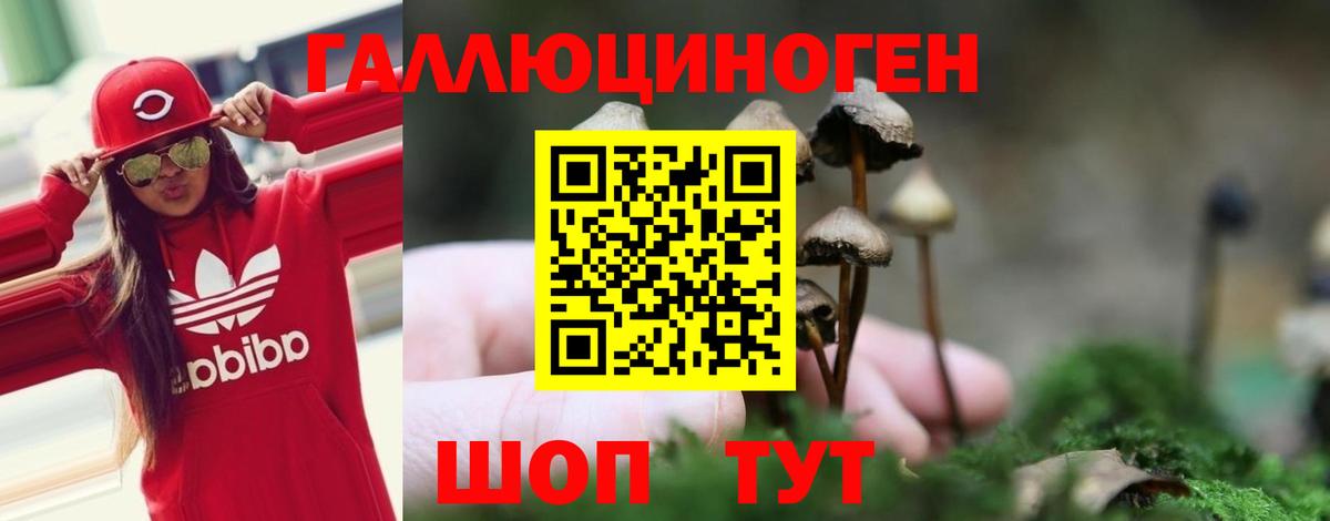 Псилоцибиновые грибы прущие грибы Хабаровск